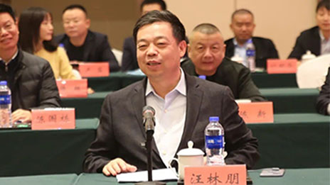 星空体育之家130亿投资湖北东楚，系黄冈百亿项目后又一大手笔