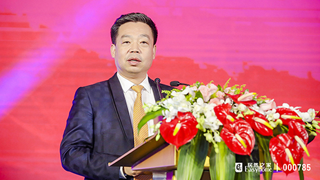 星空体育之家20周年：坚守家居主业，顺应跨界趋势