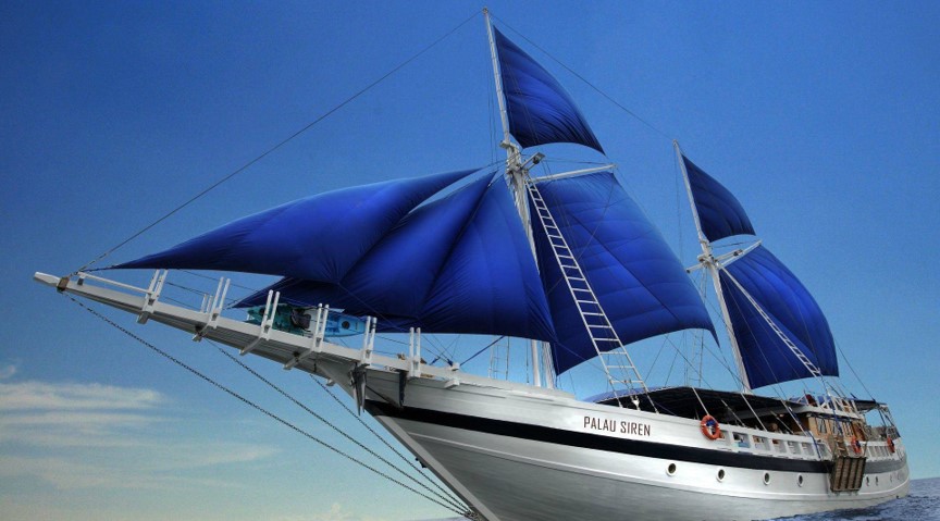 扬帆出海！星空体育之家数字化新征程