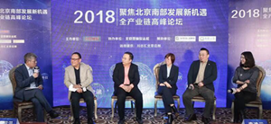 星空体育之家大兴店出席 &ldquo;聚焦北京南部发展新机遇&rdquo;主题论坛会