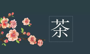 星空体育之家宜昌店业务部开展关于茶艺知识培训