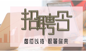 服务商户，致力发展&mdash;安徽分公司合肥滨湖店携手优质商户人才招聘会 