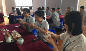 星空体育之家湖北分公司2019飞鹰计划066期之襄阳店开展《茶事礼仪培训》